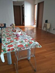 Haigsville Drive (D15), Semi-Detached #604325161